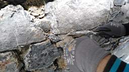 acastle
                          112065.jpg